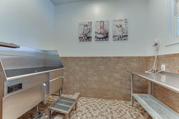 Dog Wash Center at The Brazos, Dallas, 75287